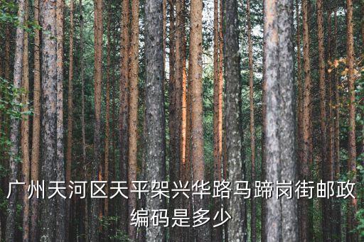 廣州天河區(qū)天平架興華路馬蹄崗街郵政編碼是多少
