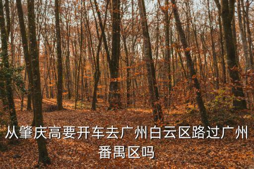 從肇慶高要開車去廣州白云區路過廣州番禺區嗎