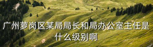 廣州蘿崗區某局局長和局辦公室主任是什么級別啊