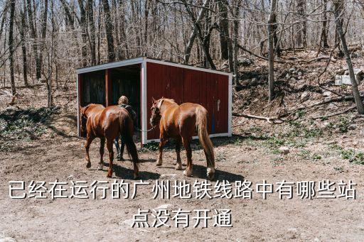 廣州未開通地鐵線路視頻，廣州還沒通行的地鐵站今年亞運前全部通行