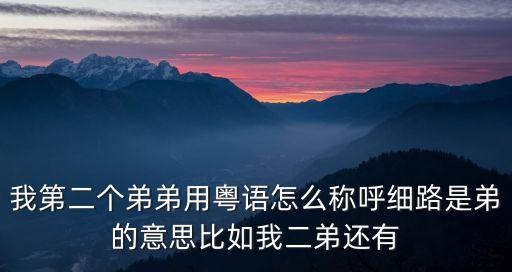 我第二個弟弟用粵語怎么稱呼細(xì)路是弟的意思比如我二弟還有