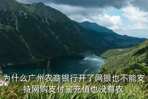 為什么廣州農商銀行開了網銀也不能支持網購支付寶充值也沒有農