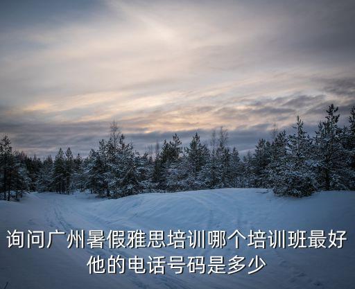 詢問廣州暑假雅思培訓哪個培訓班最好他的電話號碼是多少