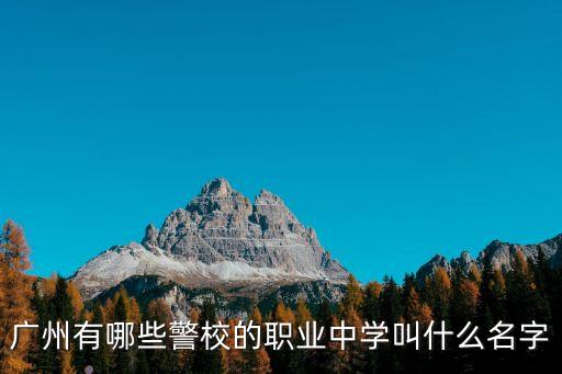 廣州有哪些警校的職業中學叫什么名字