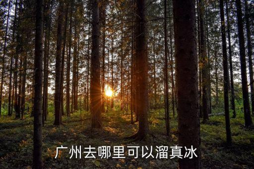 廣州溜冰場真冰，廣州去哪里可以溜真冰