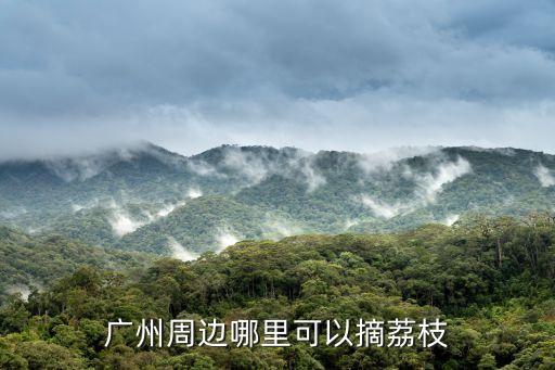 廣州番禺地區的荔枝采摘園，廣州市番禺區哪里有荔枝摘呢