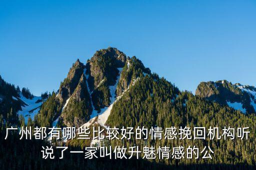 廣州都有哪些比較好的情感挽回機構聽說了一家叫做升魅情感的公
