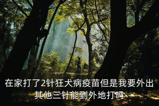 打了第二針疫苗了能去廣州嗎，狂犬病疫苗打了二針去異地能打么