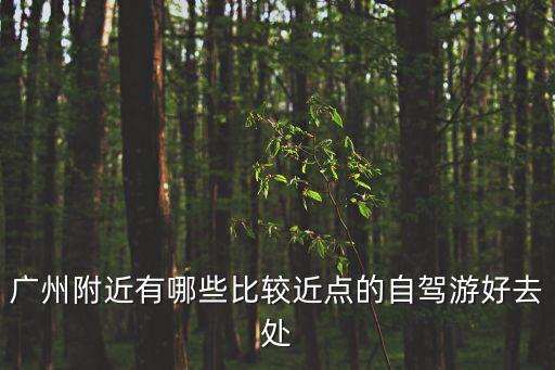 廣州附近有哪些比較近點的自駕游好去處