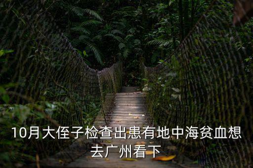 10月大侄子檢查出患有地中海貧血想去廣州看下