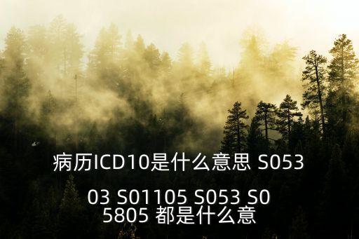 病歷ICD10是什么意思 S05303 S01105 S053 S05805 都是什么意