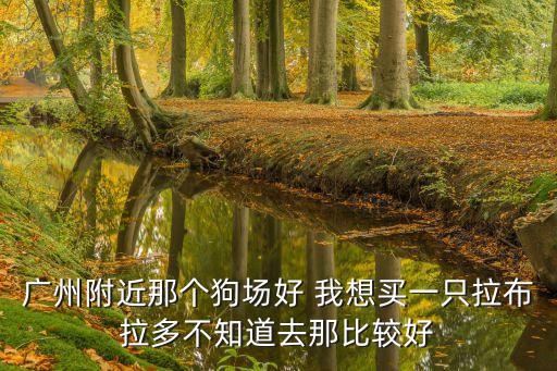 廣州附近那個狗場好 我想買一只拉布拉多不知道去那比較好