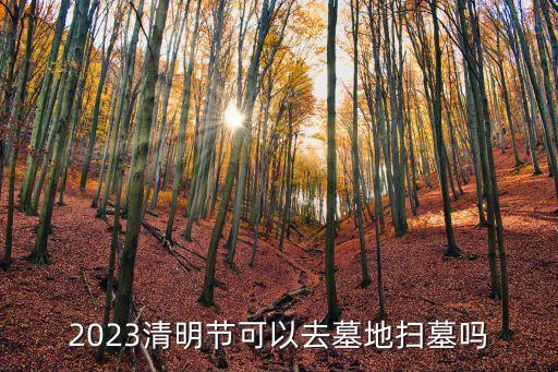 廣州民政清明節(jié)掃墓預(yù)約平臺(tái)，廣州市民政局