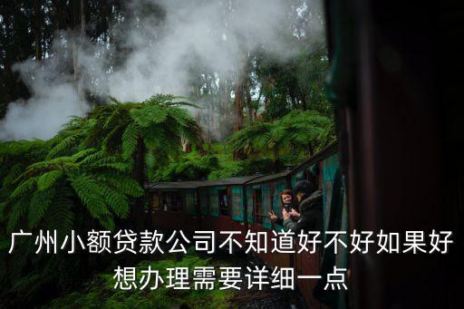 廣州小額貸款公司不知道好不好如果好想辦理需要詳細一點