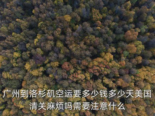 中國廣州出口美國清關，出口到美國的清關資料怎么做