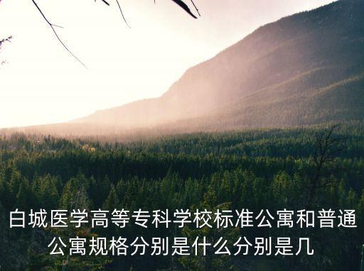 白城醫(yī)學(xué)高等專科學(xué)校標(biāo)準(zhǔn)公寓和普通公寓規(guī)格分別是什么分別是幾