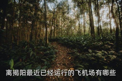 濟(jì)南直達(dá)廣州揭陽的飛機(jī)，現(xiàn)在濟(jì)南到廣東的飛機(jī)票多少錢