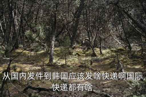 廣州發(fā)貨到韓國用什么國際快遞好，從國內發(fā)件到韓國應該發(fā)啥快遞啊國際快遞都有啥