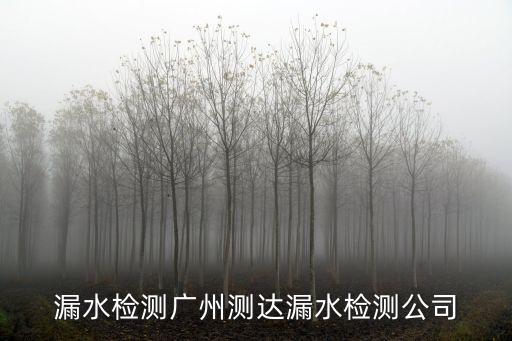 廣州排水管道漏水檢測，漏水檢測廣州測達漏水檢測公司