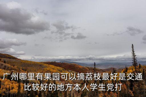 廣州三月紅荔枝果園，廣州哪里有果園可以摘荔枝最好是交通比較好的地方本人學(xué)生黨打