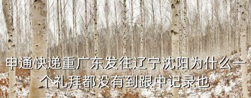 申通快遞重廣東發(fā)往遼寧沈陽為什么一個禮拜都沒有到跟中記錄也