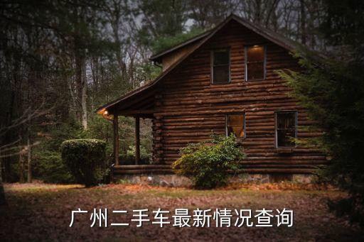 廣州二手大眾探岳二手，廣州二手車最新情況查詢