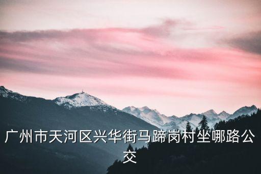 廣州市天河區(qū)興華街馬蹄崗村坐哪路公交