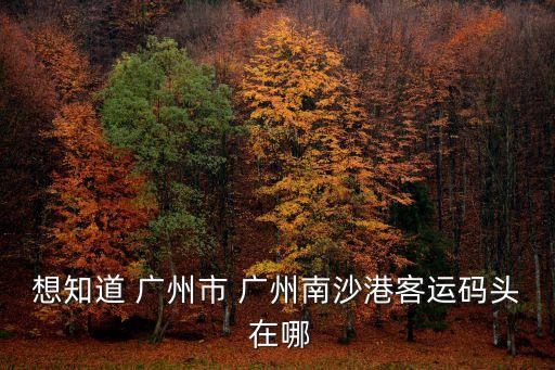 廣州南沙封碼頭，想知道 廣州市 廣州南沙港客運(yùn)碼頭 在哪