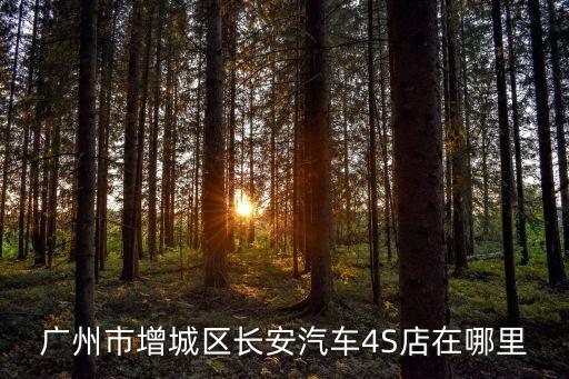 廣州市增城區長安汽車4S店在哪里