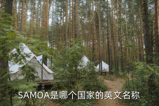 挪威英語，Venus英語什么意思