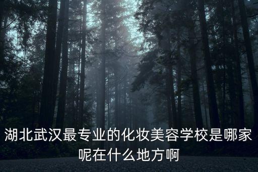 湖北武漢最專業的化妝美容學校是哪家呢在什么地方啊