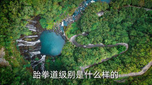 跆拳道等級(jí)劃分，跆拳道級(jí)別是什么樣的