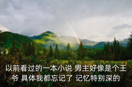 以前看過的一本小說 男主好像是個(gè)王爺 具體我都忘記了 記憶特別深的