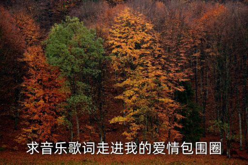 愛情包圍圈，我要把你劃入我的愛情包圍圈  這個是哪個歌曲