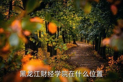 黑龍江財經學院在什么位置