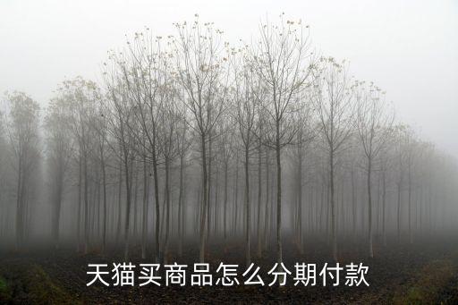 天貓怎么分期付款，天貓分期付款怎么使用