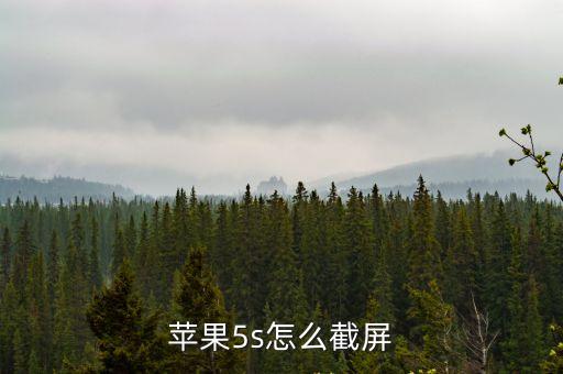蘋(píng)果5s怎么截屏