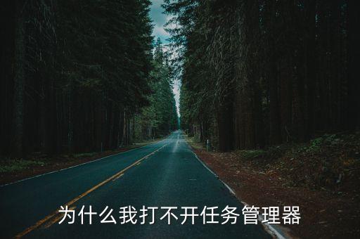 任務管理器打不開，為什么打開不了任務管理器