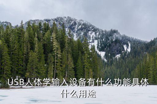 usb是什么，usb是什么樣子