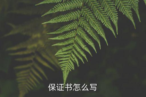 保證書(shū)，保證書(shū)怎么寫(xiě)