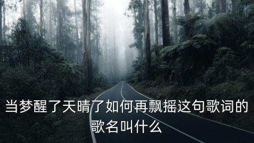 當夢醒了天晴了如何再飄搖這句歌詞的歌名叫什么
