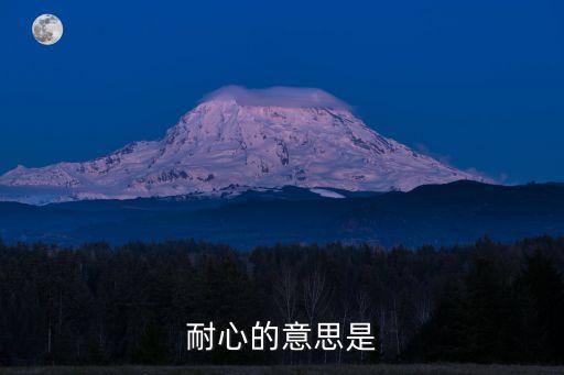耐心的意思是