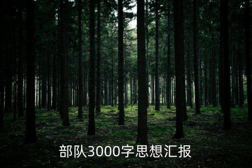 部隊個人思想匯報，部隊3000字思想匯報