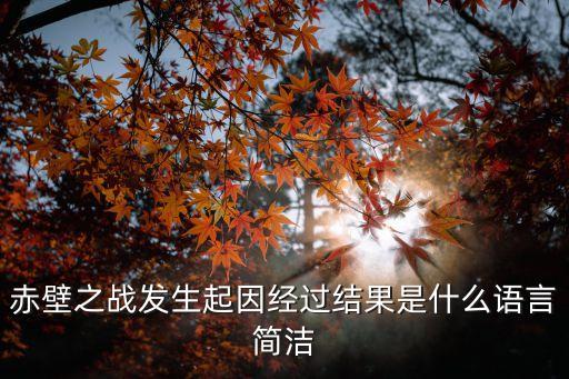 赤壁之戰(zhàn)發(fā)生起因經(jīng)過(guò)結(jié)果是什么語(yǔ)言簡(jiǎn)潔