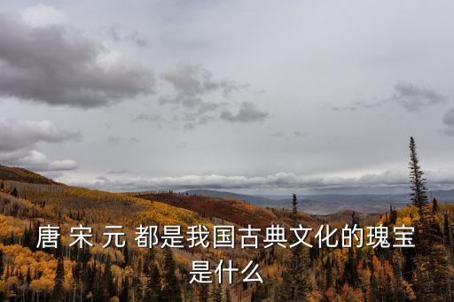 中國瑰寶，唐 宋 元 都是我國古典文化的瑰寶是什么