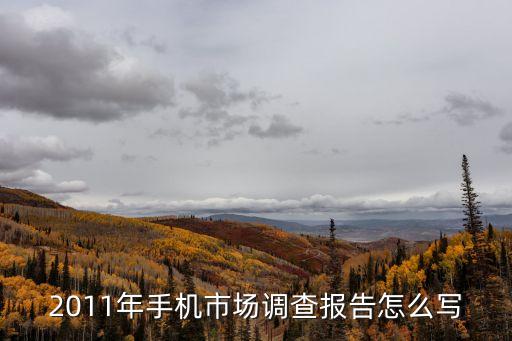 2011年手機市場調(diào)查報告怎么寫
