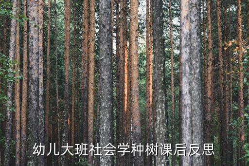 幼兒大班社會學種樹課后反思