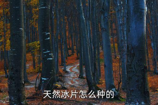 天然冰片，天然冰片的用法用量