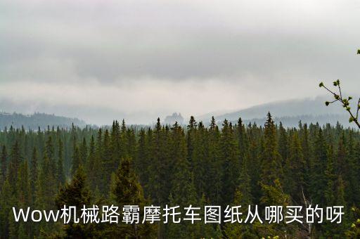 Wow機械路霸摩托車圖紙從哪買的呀