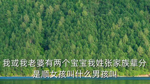張順林，我或我老婆有兩個寶寶我姓張家族輩分是順女孩叫什么男孩叫